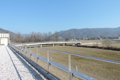 cčn-19