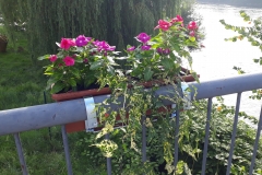 2019-07-23-07.57.43