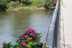 20190722_115916